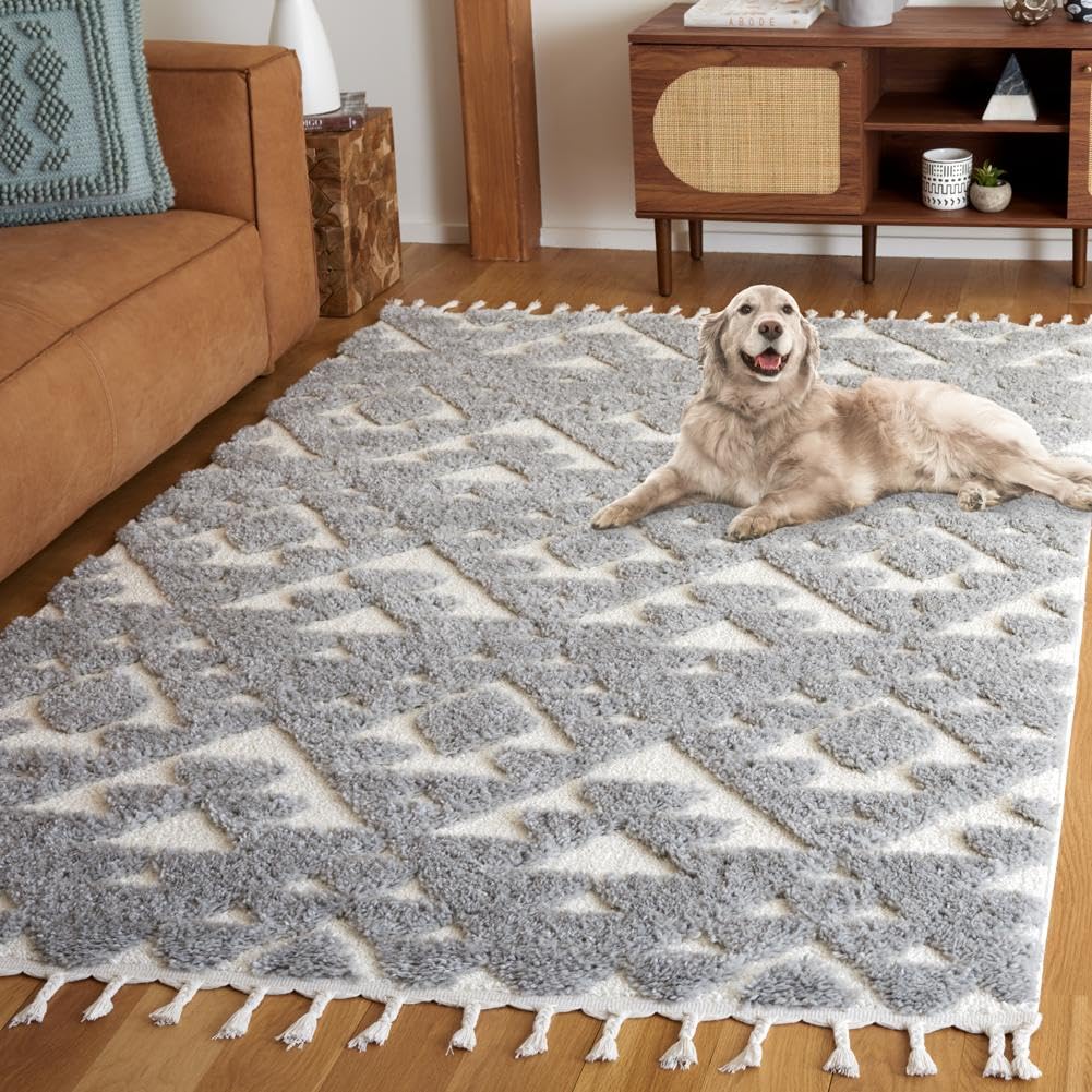 SAFAVIEH Area Rug 3x5 - Moroccan Tassel Shag Collection - Ivory, Non-Shedding & Easy to Clean, Plush High-Low Texture, Ideal for Living Room, Bedroom, Dining Space (MTS688C)